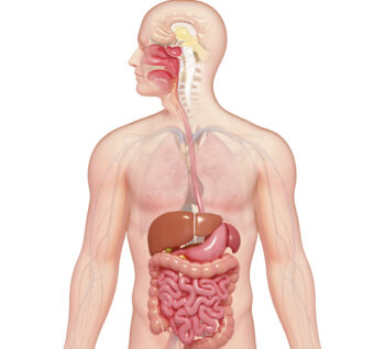 Gastroenterology